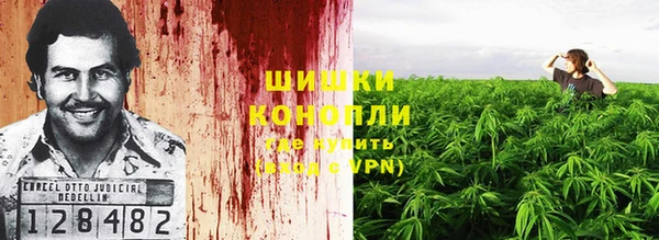 дурь Болотное