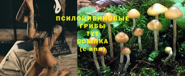 МДМА Козловка