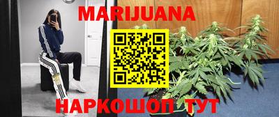 индика Ипатово