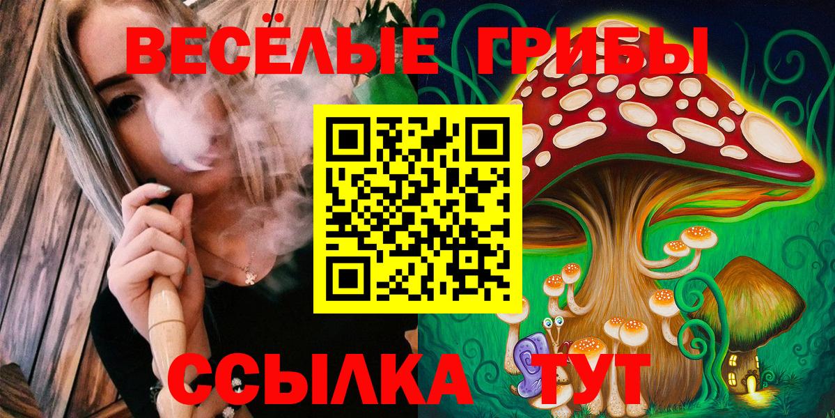 Галлюциногенные грибы Psilocybine cubensis  Галлюциногенные грибы Psilocybine cubensis  Лянтор 