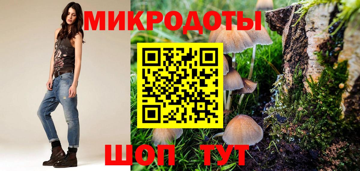 Лянтор  Псилоцибиновые грибы Cubensis  Вход с VPN 