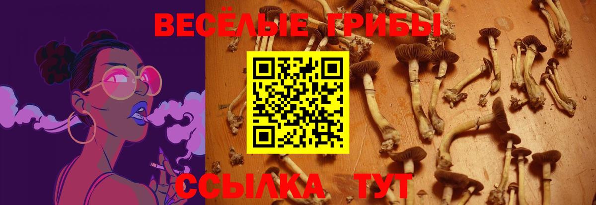 А ПВП СК   Вход с VPN  МЕФ кристаллы  Лянтор  Марихуана  ГАШИШ 